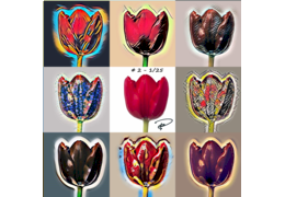 iHolland - Tulips / Tulpen NFT