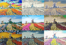 iHolland - windmills & flowers / windmolens en bloemenvelden NFT